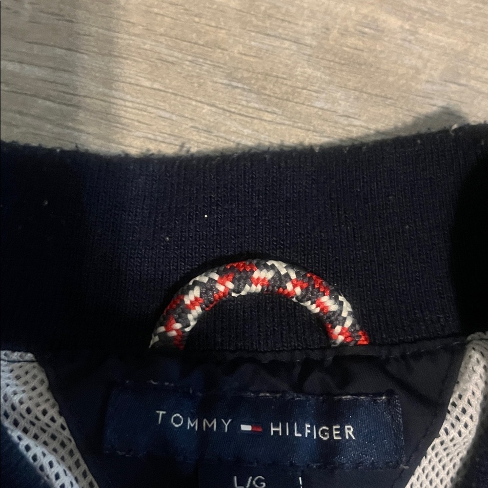 Tommy Hilfiger Tricolor Windbreaker for Men - Picture 3 of 4